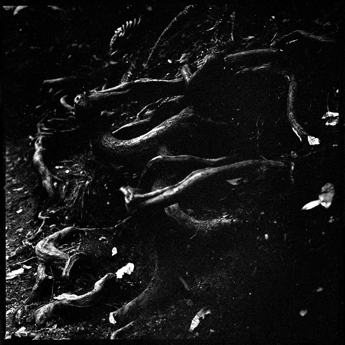 slide-7